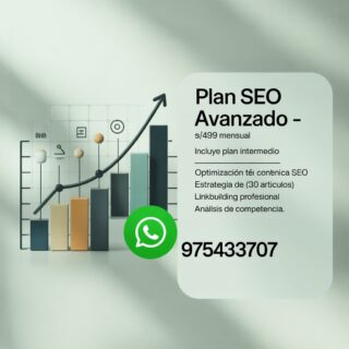 SEO ORGANICO Standard super