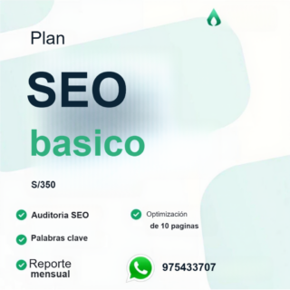 SEO ORGANICO Standard